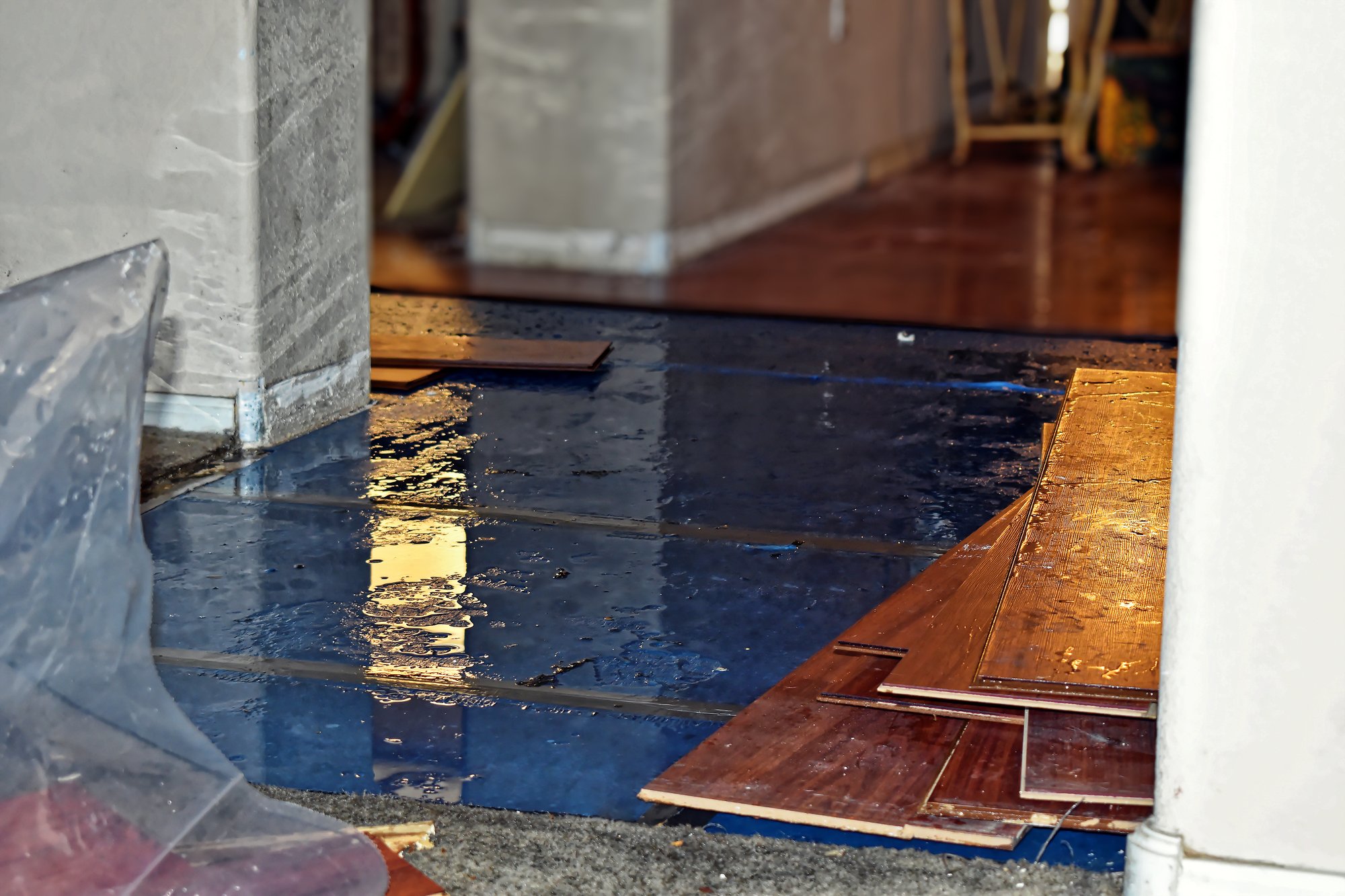 Planks of wood floor removed showing sub-flooring with water covering the surface.