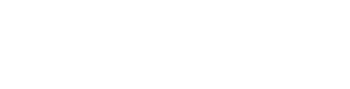 Insight Risk Logo