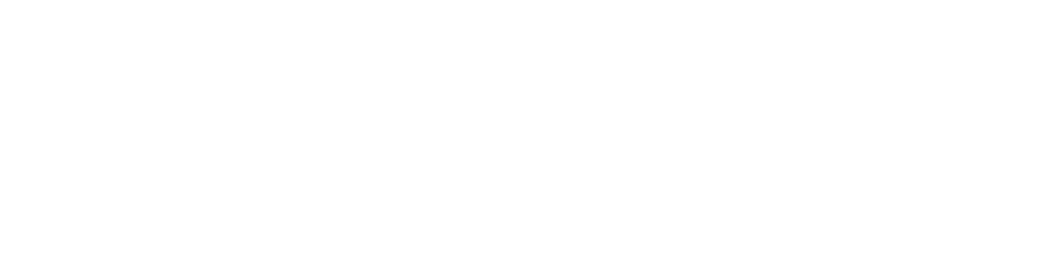 Insight Risk Logo