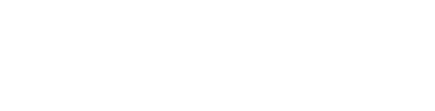 Insight Risk Technologies Logo in All White