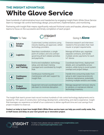 Insight-Risk-The-Insight-Advantage-White-Glove-Service-Flyer-Screenshot