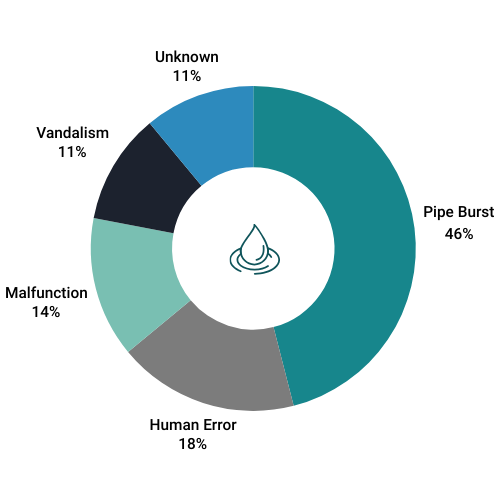 Water Damage Causes By Frequency (1)